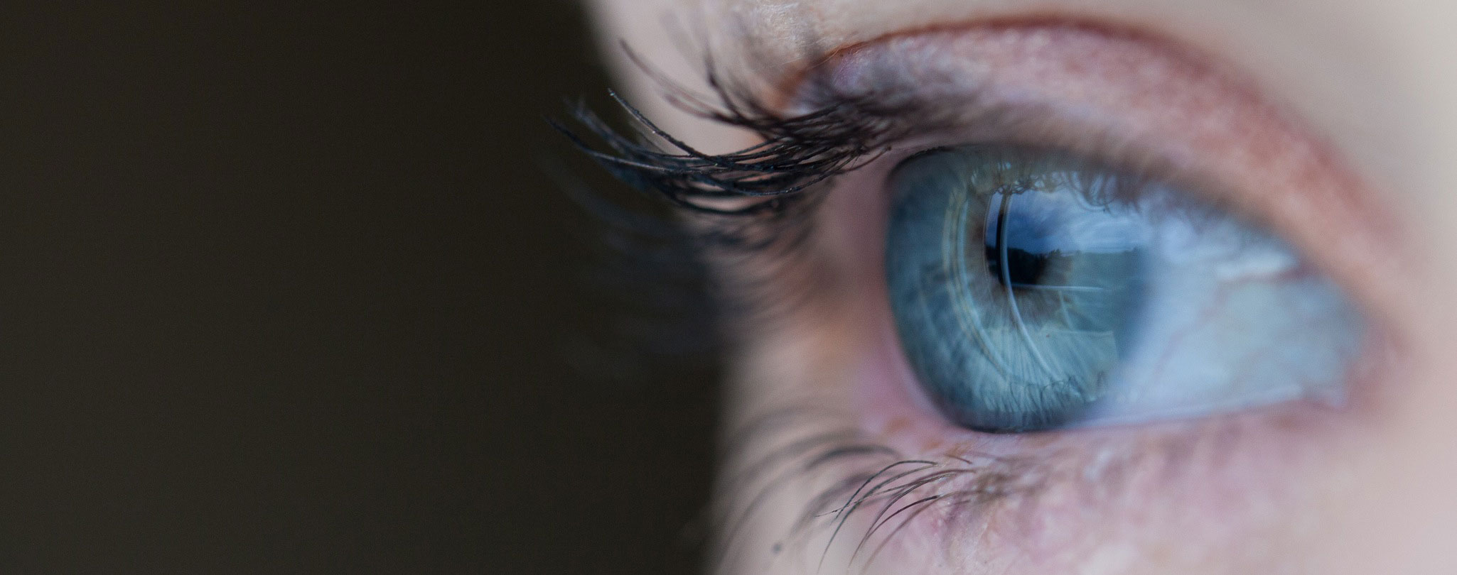 Envision your perefect scenario